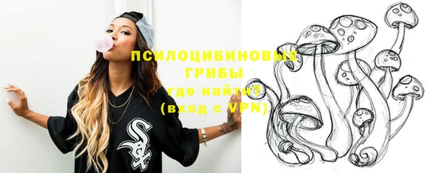 apvp Богданович