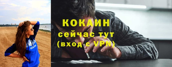 apvp Богданович